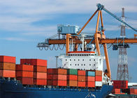 DDP Door To Door Sea Freight Agent From Shanghai To Worldwide