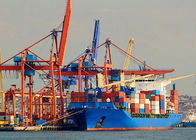 DDP Door To Door Sea Freight Agent From Shanghai To Worldwide