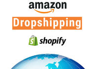 Airmail B2C Global Dropshipping Suppliers , DDP Global Logistics Service