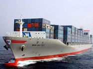 AP International Ocean Freight Shipping , China To USA Freight Forwarder
