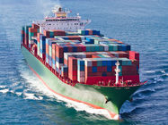 AP International Ocean Freight Shipping , China To USA Freight Forwarder