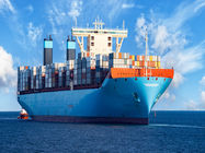 DDU China Ocean Shipping Agency , International Freight Container Shipping