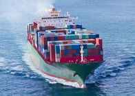 40FT LCL FCL Sea Freight Agent To Canada USA UK Austrilia Vietnam