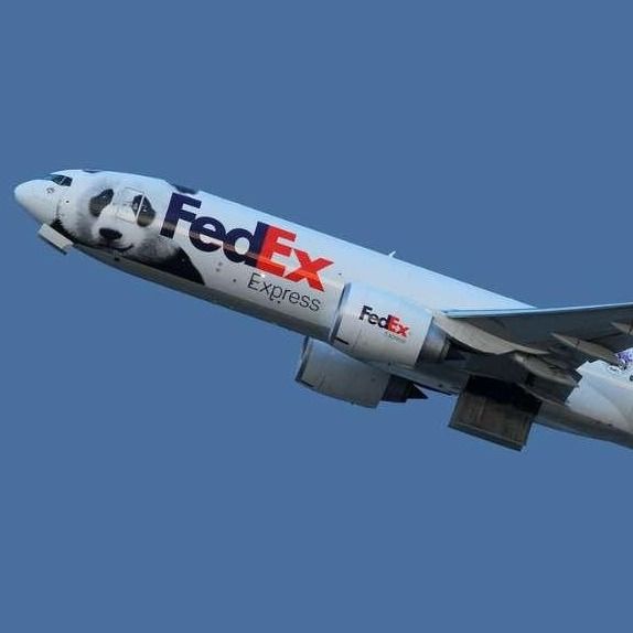 Overseas Door To Door International Shipping UPS Air Freight FedEx From Shanghai China To Israel