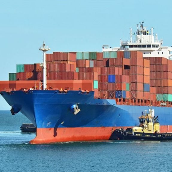 China To World Shipping Freight Forwarder Business FCL FBA Air DDU DDP FOB Cif Sea Freight