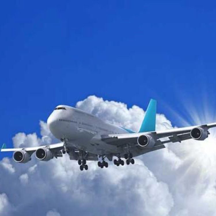 Warehousing Logistics International FEDEX DDP DDU Door To Door From Shanghai China To Malaysia