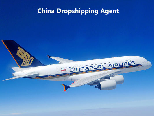 Global Logistics Ecommerce Dropshipping Agent To Singapore